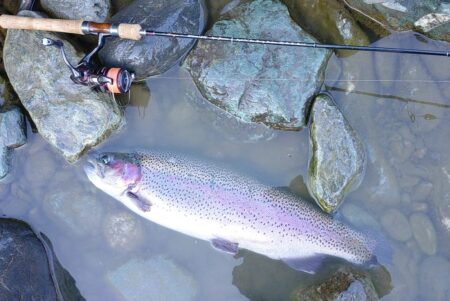 ポカポカの一日 ～天竜川ルアーフライテンカラ専用区～